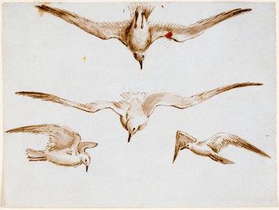 Seagulls by John Wilson Carmichael